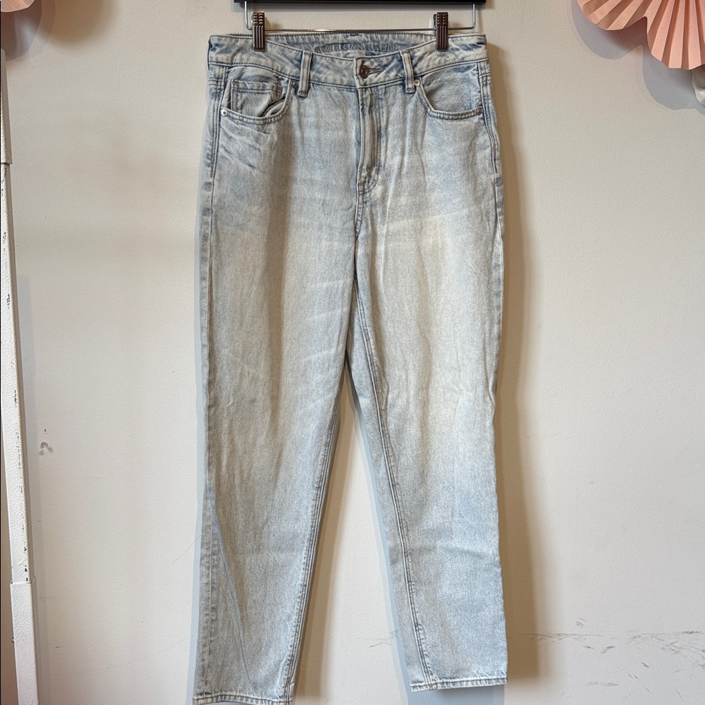 American Eagle at rigid mom Jean size 10
